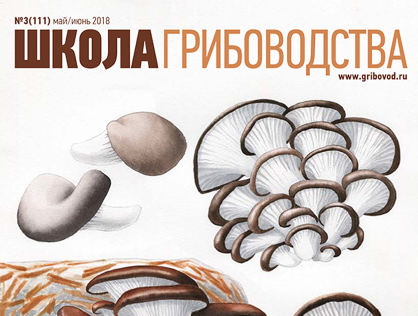 Мировой опыт выращивания грибов на российской земле. Статья в журнале "Школа грибоводства"