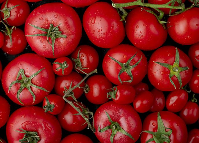 Агроинвестор: «Отраслевой союз ожидает небольшого снижения оптовых цен на томаты из-за обнуления ввозной пошлины»